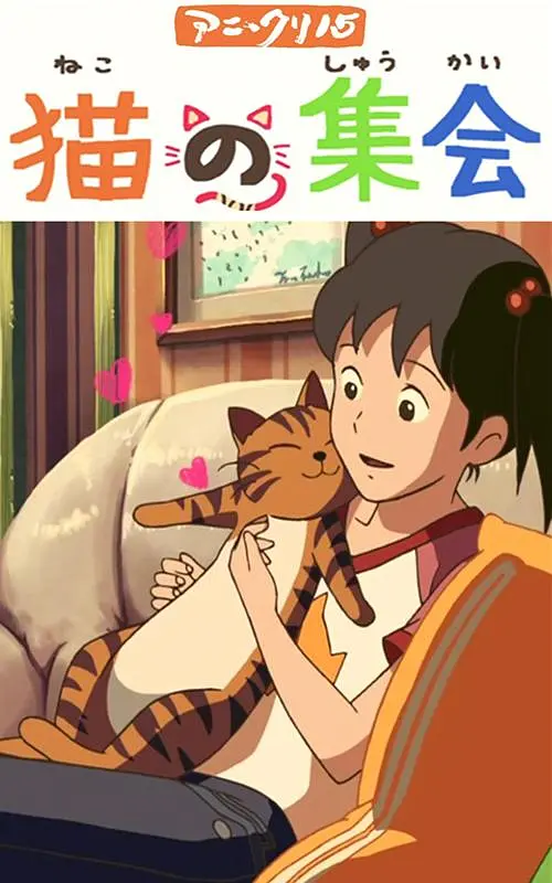 电视剧北风那个吹