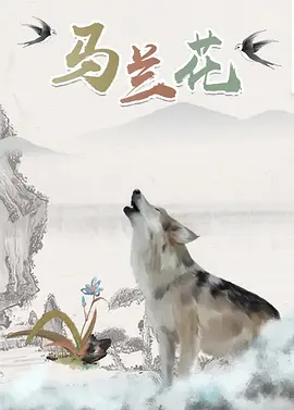 久久精品视频黄色