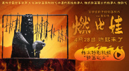 伊人久久成人爱综合网